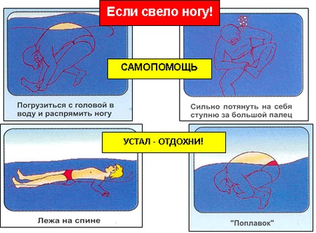 Сводит руки и ноги. Причины и лечение, медикаменты, народные средства