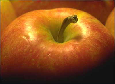 Close up picture of apple. The pectin in apples work wonders on high cholesterol.