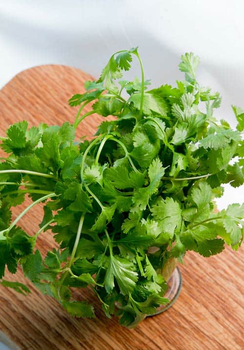 What is cilantro? Cilantro is the name for coriander leaves in some countries. This bright and aromatic herb adds a light flavor to any dish that it accents. 