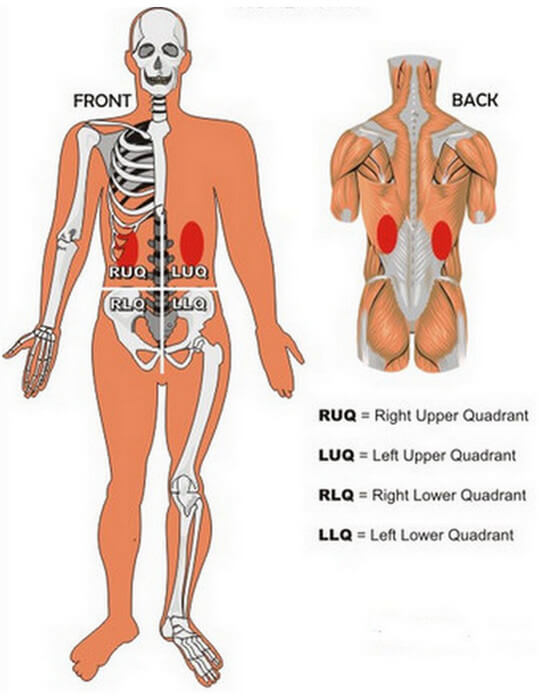 kidney location in abdomen pain